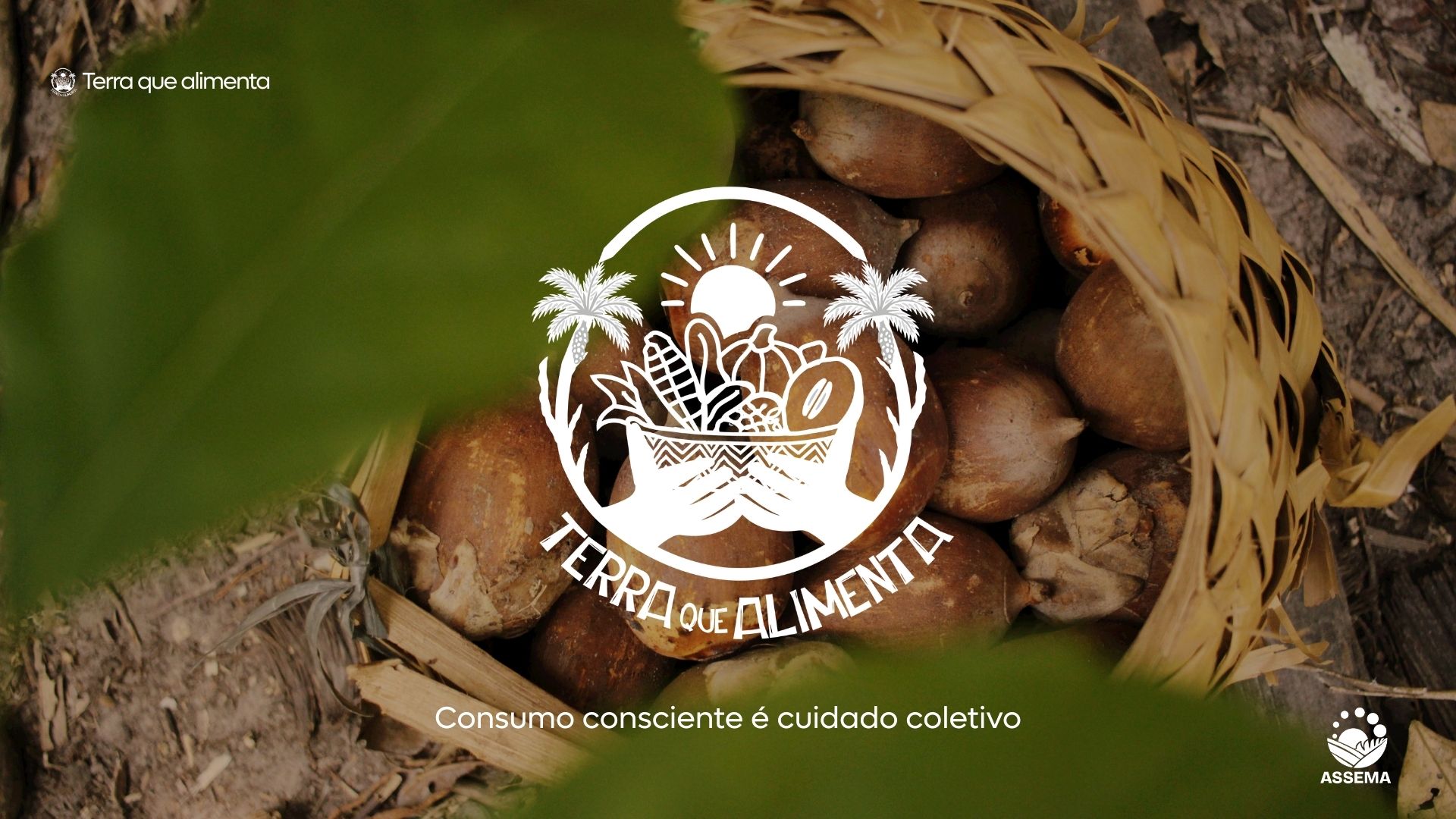 Campanha “Terra que Alimenta” apresenta identidade visual inspirada no território e no cuidado coletivo